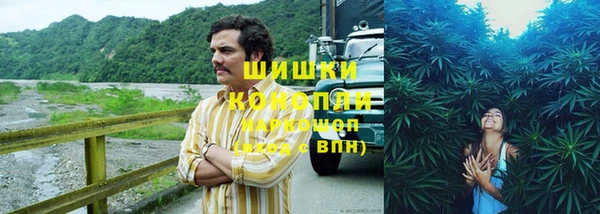 гидра Балабаново